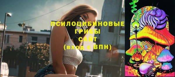 спиды Володарск
