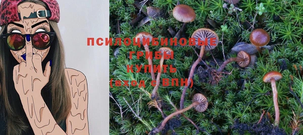 PSILOCYBIN Волоколамск