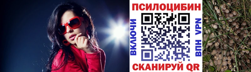 Купить закладки  Светлогорск  Галлюциногенные грибы мухоморы 