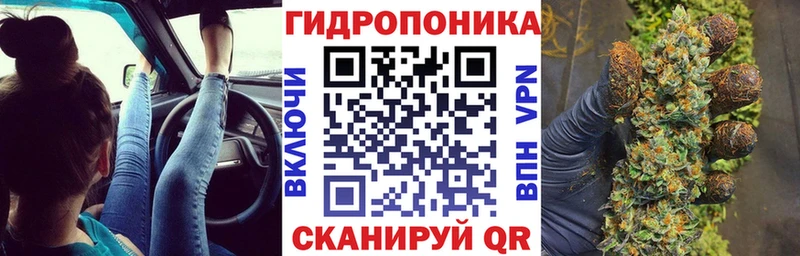Купить закладки  Светлогорск  Конопля сатива 